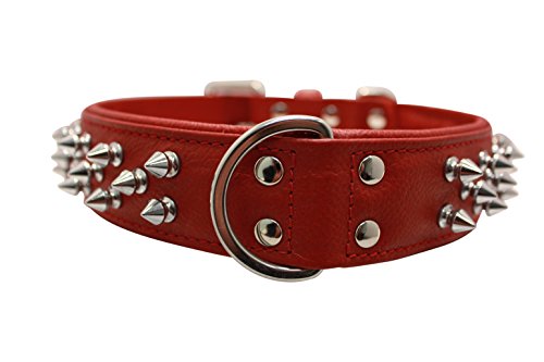 Spiked Studded Leather Dog Collar, Wide, Padded, Double-Ply, 22