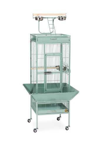 Prevue Pet Products Wrought Iron Select Bird Cage, 18-Inch by 18-Inch by 57-Inch, Cobalt Blue
