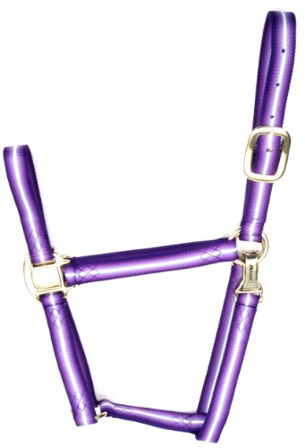 Accent 1-Inch Wide Graduated Premium Halter for Small Horses, 700 to 1000-Pound, Blue