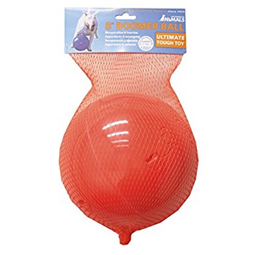 Compagnie des animaux DD3503 Halti puissante balle de baby