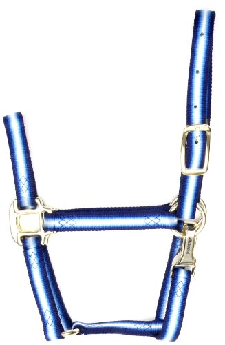 Accent 3/4-Inch wide Graduated Premium Halter for Weanlings, 300 to 500-Pound, Blue