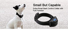 Aniluxe collier anti-aboiement pour Petit chien