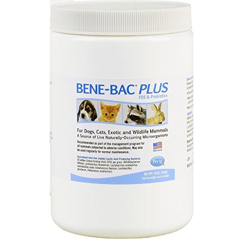 PETAG DD7554 Bene-Bac Plus Bird and Reptile Powder (16 oz)
