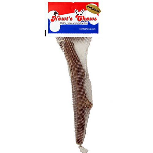 Newt's Chews NCM-57426 Deer Antler Monster Dog Treat 8 