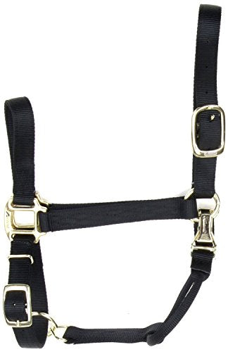 Coastalpet Accent Deluxe Halter with Equi-Snap & Chin Adjustment 3/4 inch (Black)