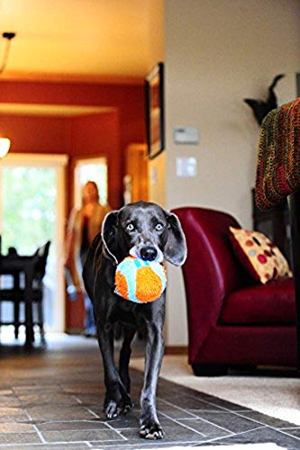 Chuckit! Jouet de chien à balle intérieure