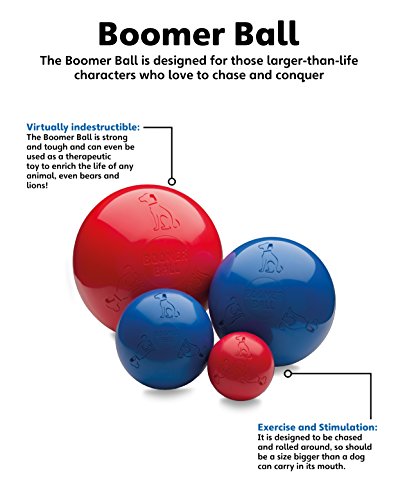 La compagnie des animaux Bomer Ball