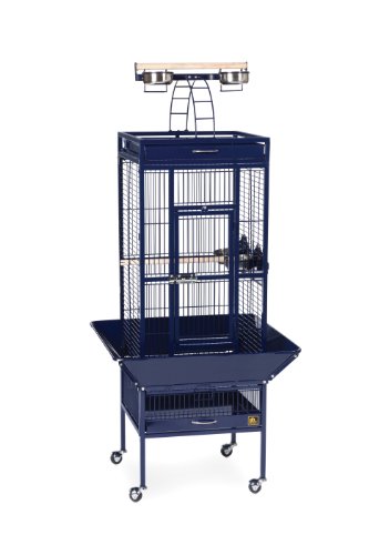 Prevue Pet Products Wrought Iron Select Bird Cage, Cobalt Blue