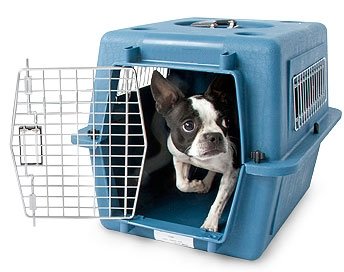 Petmate Vari Kennel Fashion For Small Dogs 21X16X15inch