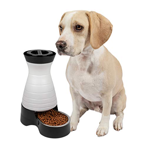 PetSafe Healthy Pet Gravity pour chiens et station de nourriture pour chats, bol en acier inoxydable, tient des aliments secs pour chiens ou chats