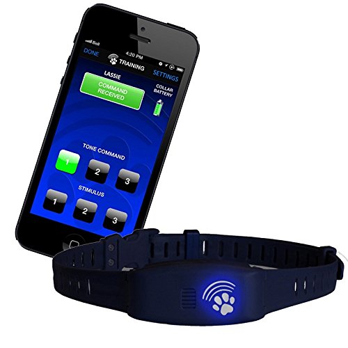 High Tech Pet BF16 Blue Fang 2 in 1 Remote Trainer And Bark Control Collar