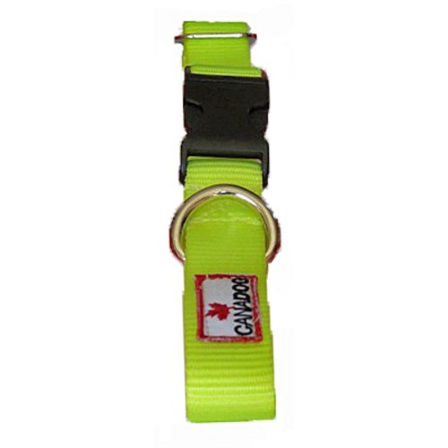 Canadog Collars With Buckle Clousure