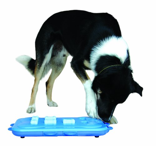 Nina Ottosson DogCasino Interactive game