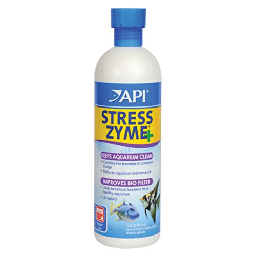 API AA8410 Stress Zyme Aquarium Water Conditioner (16 oz)