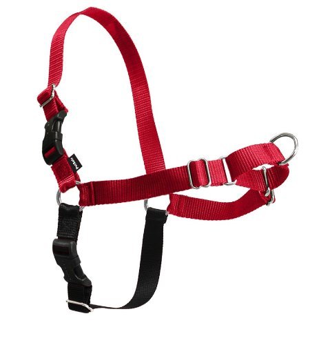 PREMIER Easy Walk Dog Harness Small/Med Red