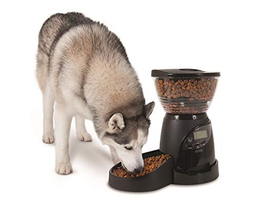 Aspen Pet Lebistro Programmable Food Dispenser