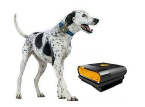 GPS Dog Tracker Collar Waterproof Canada SIM CARD Waterproof tracking device