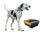 GPS Dog Tracker Collar Waterproof Canada SIM CARD Waterproof tracking device