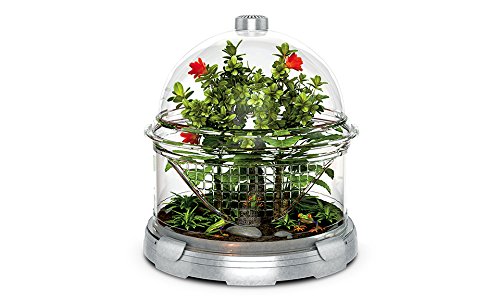 Terra Small Land Animal Couleur de l'habitat modulaire: argent
