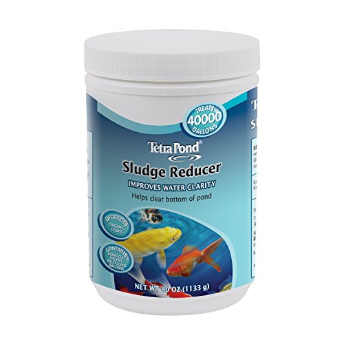TetraPond AA5681 Sludge Reducer 40oz Tub