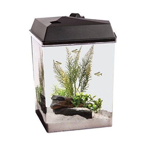 Kollercraft AA8822 API Aquatunes Corner View Aquarium Kit 2,5 gallons
