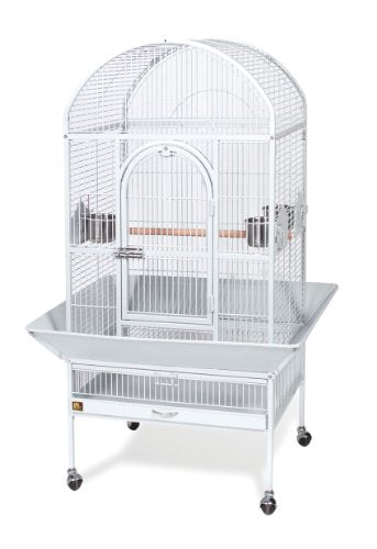 Produits pour animaux de compagnie Prévue Cage d'oiseau dometop moyen, étain Hammertone