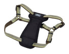 Harness d'explorateur de compagnie côtière K9 26-38X1