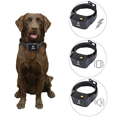 HITSAN INCORPORATION PATPET P-Collar 630 EU Plug Dog Training Collar Rechargeable & Waterproof BlindOperation Pet Trainer
