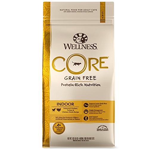 Wellness CORE Natural Grain Free Dry Cat Food, Original Turkey & Chicken, 12-Pound Bag