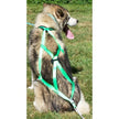 Canadog Regular X-Back Rigstop Lined Harness For Dog