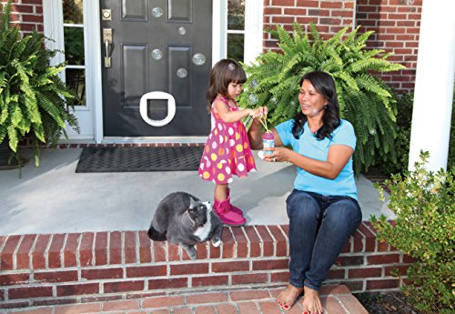PetSafe Big Cat Cat Flap