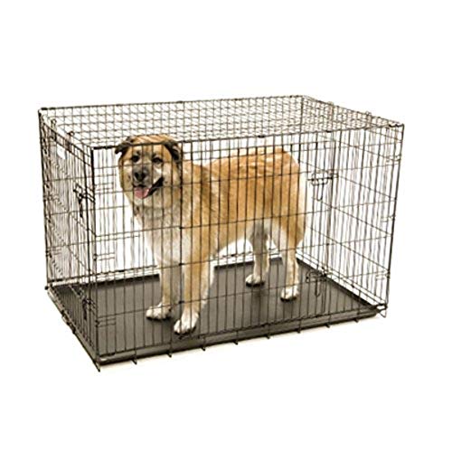 Precision Pet Petmate ProValu Two Door Wire Dog Crate Precision Lock System, 6 Sizes