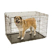 Precision Pet Petmate ProValu Two Door Wire Dog Crate Precision Lock System, 6 Sizes
