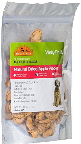 WellyTails Welly-Fruity Roast Chicken and Apple Dog Treat 12x115gr