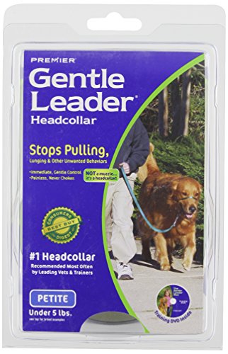 Radio Systems PRP-GLQHCPBR Gentle Leader Quick Release Headcollar, Petite, Brown