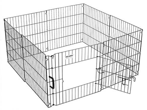 Pen provisions pour animaux de compagnie Exercice