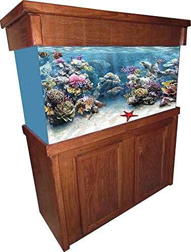 R&J ENTERPRISES 781504 Stand de signature dans Cherry Oak (48x18x30)