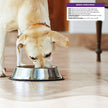 Wellness Complete Health Natural Wet Canned Dog Food Venison & Sweet Potato