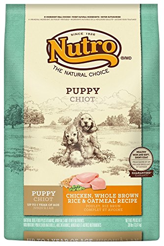 Nutro 10122957 Original Chicken, Brown Rice and Oatmeal Puppy Food (13.6KG)