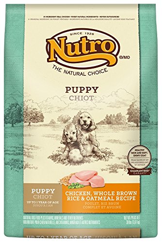 NUTRO 10122957 poulet d'origine, riz brun et chiot à l'avoine (13,6 kg)