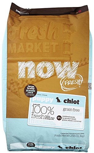 Petcurean Now Fresh Grain Free Large Breed Puppy Food (12lbs)