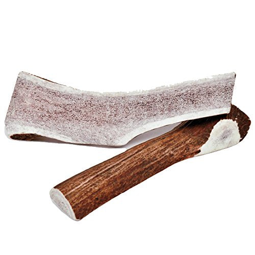 Newt's Chews NCP-50698 Sinced Elk Antler avec moelle de 8-10 pouces