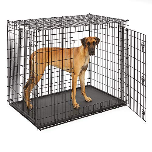 XXL Dog Crate | Ginormous 54-Inch Double Door Dog Crate | Super Strong Crate for The Largest Dog Breeds | 54L x 37W x 45H Inches & Weighs 80.2 pounds