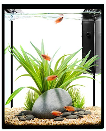 Current 7010 Solo Desktop Aquarium 5Gal