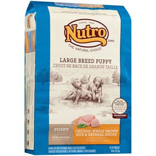 Nutro Natural Choice Chicken, Brown Rice & Oatmeal Large Breed Puppy Food 30 lb.