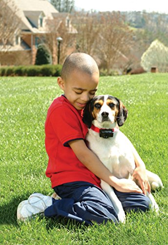 Petsafe Bark Control Collar For Pbc19-10765