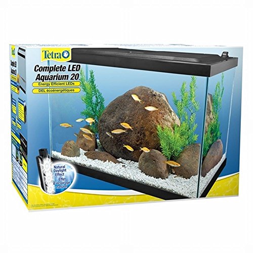 Tetra NV33144 Kit d'aquarium LED Deluxe (20Gallon)