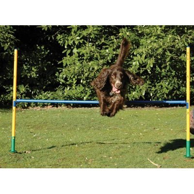 Saut d'agilité Clix