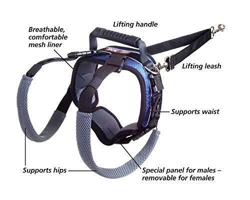 PetSafe Solvit CareLift Rear-Only Lifting Harness, Dog Lifting Harness for Rear Legs