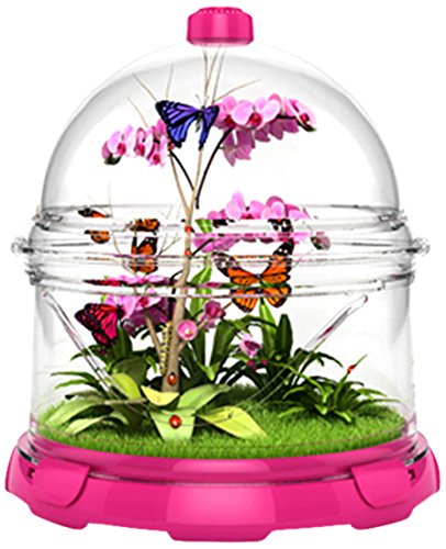 BioBubble Small Animal Terra Kit